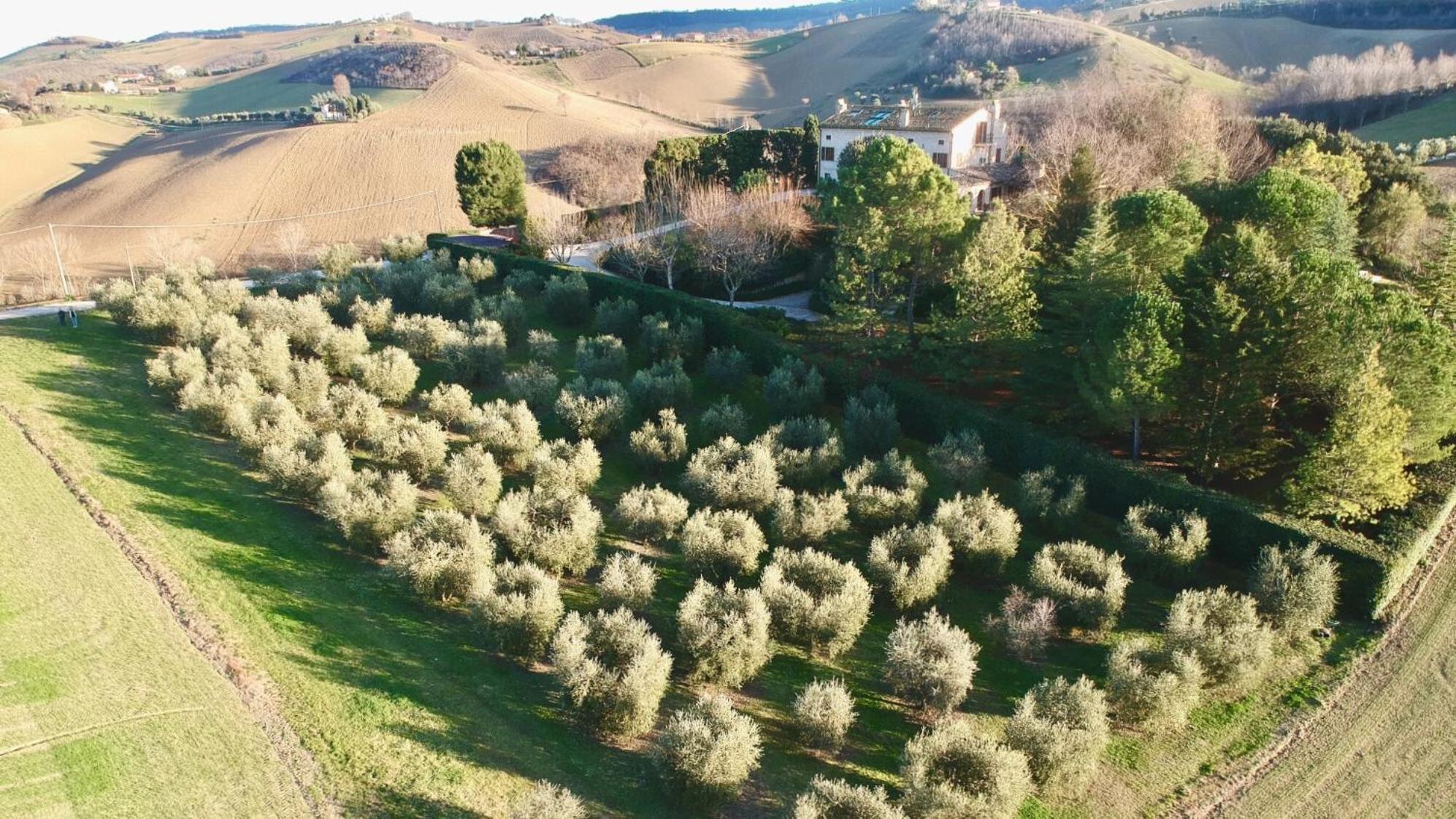 Monterosato Country House Monterubbiano 外观 照片